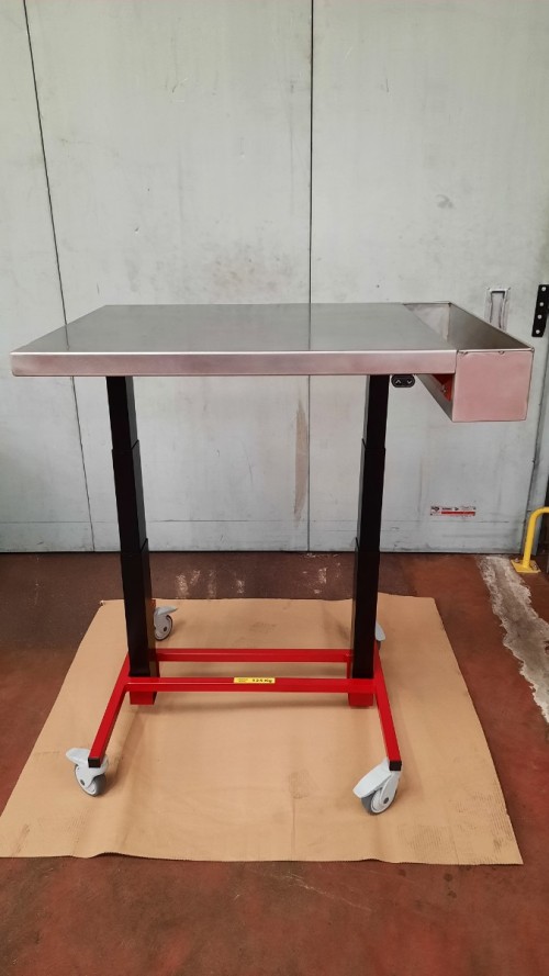 Table ergonomique &eacute;lectrique mobile - 70 kg / 125 kg / 250 kg